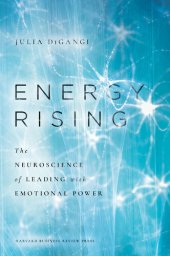 book Energy Rising: The Neuroscience of Leading with Emotional Power