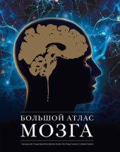 book Большой атлас мозга