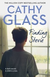 book Finding Stevie : the story of a young boy in crisis