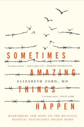 book Sometimes Amazing Things Happen: Life on the Bellevue Prison Ward