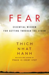 book Fear: Essential Wisdom for Getting Through the Storm