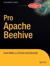book Pro Apache Beehive (Expert's Voice in Java)