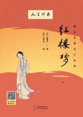 book 红楼梦(上下)/四大名著大字全本