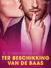 book Ter beschikking van de baas – erotisch verhaal