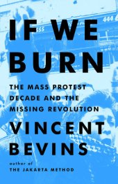 book If We Burn: The Mass Protest Decade and the Missing Revolution