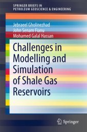 book Challenges in Modelling and Simulation of Shale Gas Reservoirs (SpringerBriefs in Petroleum Geoscience & Engineering)