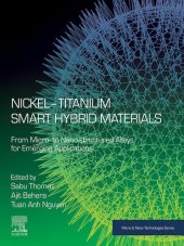 book Nickel-Titanium Smart Hybrid Materials: From Micro- to Nano-structured Alloys for Emerging Applications (Micro and Nano Technologies)