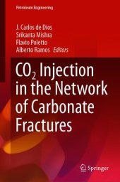 book CO2 Injection in the Network of Carbonate Fractures (Petroleum Engineering)