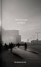 book The Sorrows of Work (Essay Books)