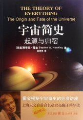 book The Theory of Everything: The Origin and Fate of the Universe (Chinese Edition)