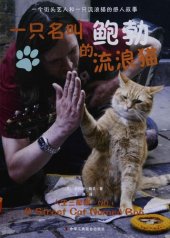 book 一只名叫鲍勃的流浪猫