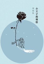 book 小王子的领悟