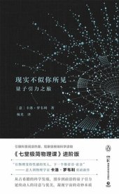 book 现实不似你所见: 量子引力之旅