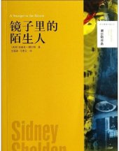 book 镜子里的陌生人