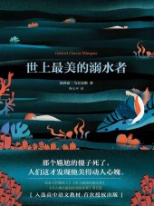 book 世上最美的溺水者