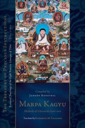 book Marpa Kagyu: Methods of Liberation, Part One: The Treasury of Precious Instructions: Essential Teachings of the Eight Practice Lineages of Tibet, Volume 7