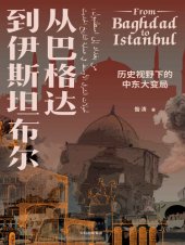 book 从巴格达到伊斯坦布尔：历史视野下的中东大变局