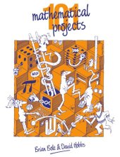 book 101 Mathematical Projects