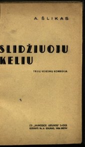 book Slidžiuoju keliu