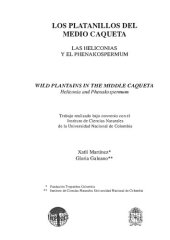 book Los platanillos del medio Caquetá, las Heliconias y el Phenakospermum