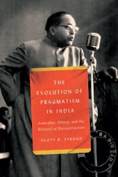 book The Evolution of Pragmatism in India - Ambedkar, Dewey, and the Rhetoric of Reconstruction