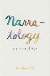 book Narratology in Practice