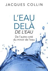 book L'eau delà de l'eau. De l'autre côté du miroir de l'eau