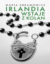 book Irlandia wstaje z kolan