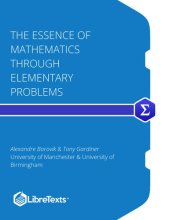 book The Essence of Mathematics Through Elementary Problems