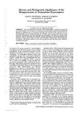 book Identity and phylogenetic significance of the metapostnotum in nonaculeate Hymenoptera