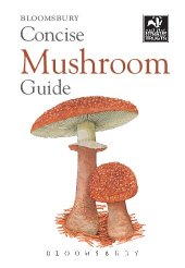 book Concise Mushroom Guide