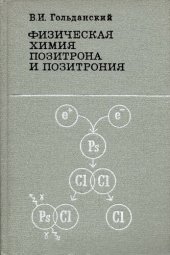 book Физическая химия позитрона и позитрония