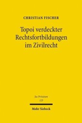 book Topoi verdeckter Rechtsfortbildungen im Zivilrecht