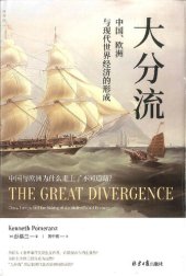 book 大分流：中国欧洲与现代世界经济的形成