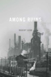 book Among Ruins