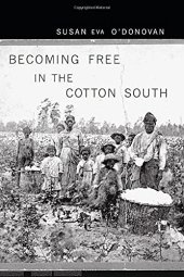 book Becoming free in the cotton South