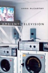 book Ambient Television: Visual Culture and Public Space