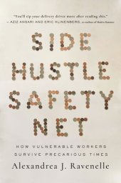 book Side Hustle Safety Net: How Vulnerable Workers Survive Precarious Times