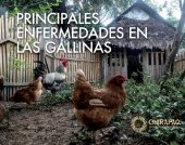 book Principales enfermedades en las gallinas