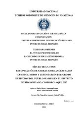 book Recopilaicón de narraciones ancestrales (cuentos, mitos y leyendas) en peligro de extinción del pueblo wampís (Shíbaro/ Aents) en el distrito de Río Santiago, Condorcanqui, Amazonas, 2017