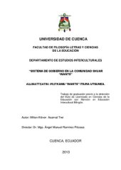 book Sistema de gobierno en la comunidad shuar (Aents/ Shibaro) Wants (Nangaritza, Zamora Chinchipe) = Aujmattsatin: Irutkamu Wants itiura utsunea