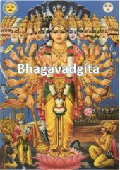 book Bhagavadgita (Weinfurter).