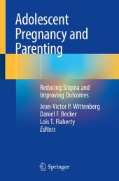 book Adolescent Pregnancy and Parenting: Reducing Stigma and Improving Outcomes