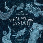 book What We See in the Stars: An Illustrated Tour of the Night Sky