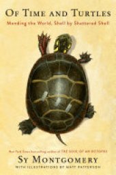 book Of Time and Turtles: Mending the World, Shell by Shattered Shell