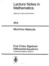 book First order algebraic differential equations: A differential algebraic approach