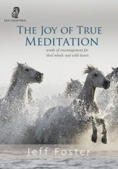 book The Joy of True Meditation: Words of Encouragement for Tired Minds and Wild Hearts