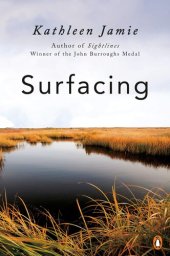 book Surfacing