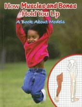 book How Muscles and Bones Hold You Up: A Book About Models (Big Ideas for Young Scientists)