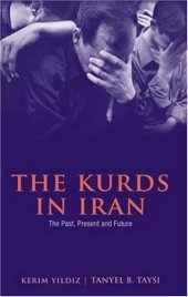 book The Kurds in Iran: The Past, Present and Future